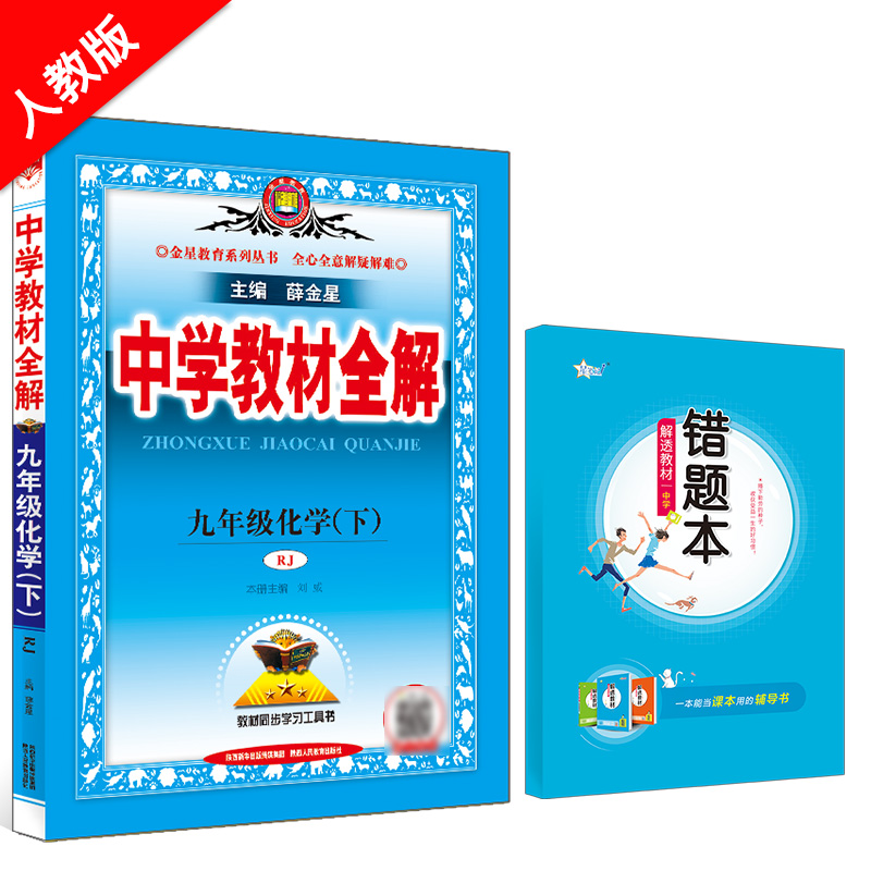 中学教材全解 九年级化学 下 RJ 人教版 2024春用