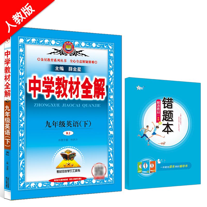 中学教材全解 九年级英语 下 RJ 人教版 2025春用