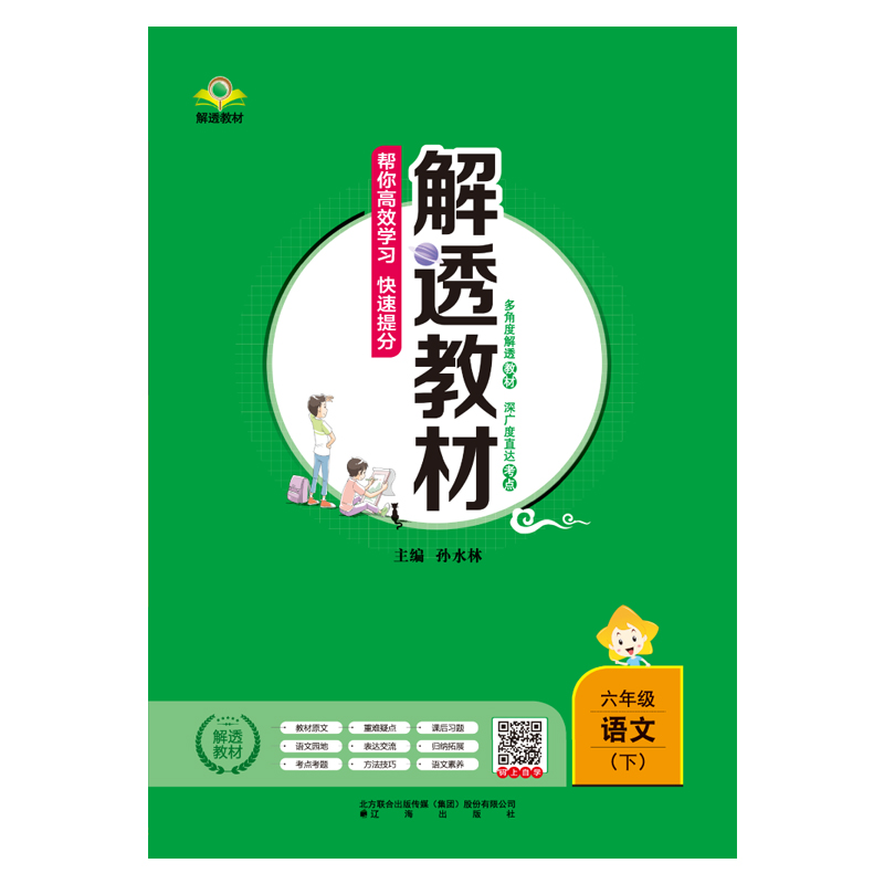 小学教材全解 解透教材 六年级语文 下 RJ 人教版 2024春用